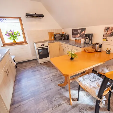 Gartentraum, Feuergrill, Kids-spielwelt, 4raeume Apartment Hartenstein (Saxony)