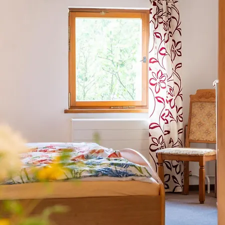 Gartentraum, Feuergrill, Kids-spielwelt, 4raeume Apartment Hartenstein (Saxony)