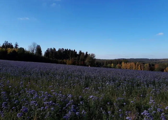 Gartentraum, Feuergrill, Kids-spielwelt, 4raeume Διαμέρισμα Hartenstein (Saxony)